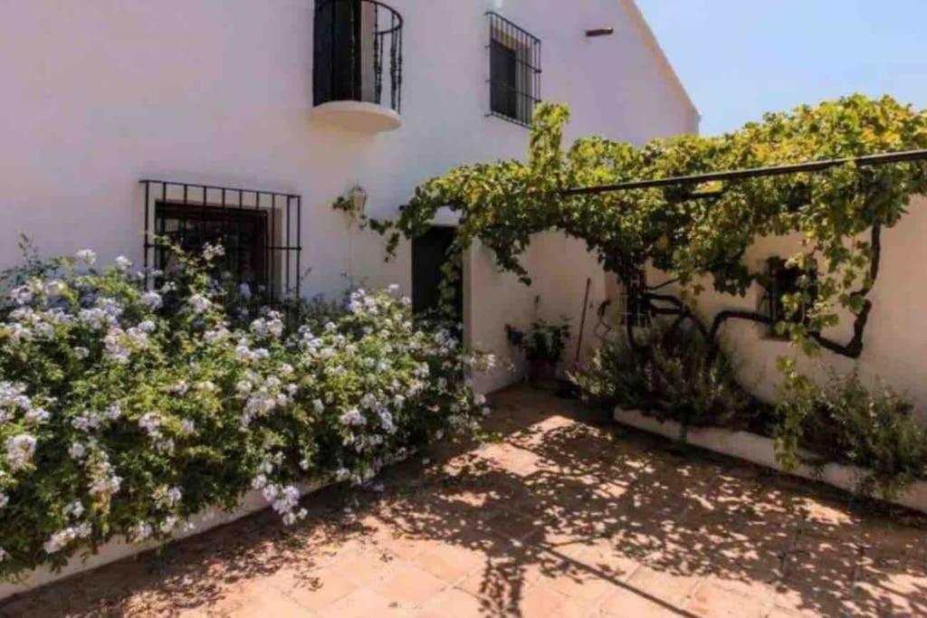 Cortijo Nerja Artist Paradise Dış mekan fotoğraf