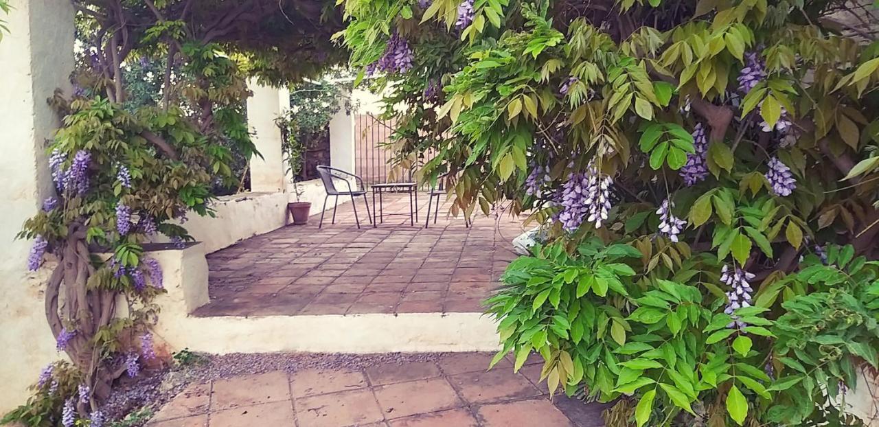 Cortijo Nerja Artist Paradise Dış mekan fotoğraf