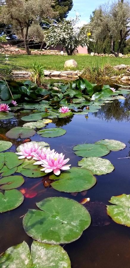 Cortijo Nerja Artist Paradise Dış mekan fotoğraf