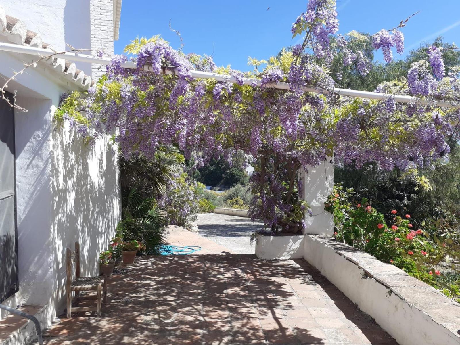 Cortijo Nerja Artist Paradise Dış mekan fotoğraf
