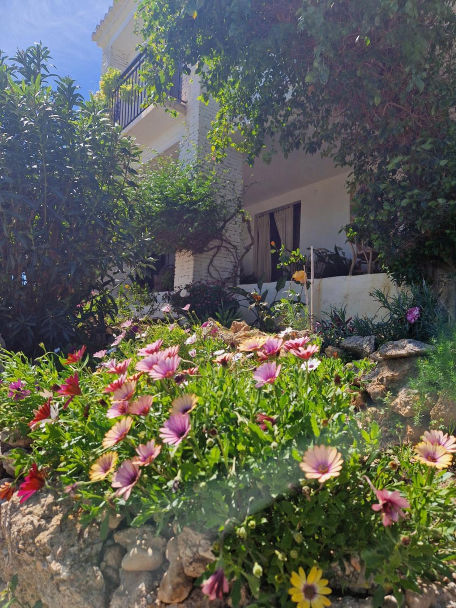 Cortijo Nerja Artist Paradise Dış mekan fotoğraf